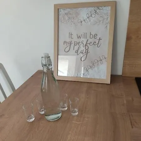 Apartman Branislava